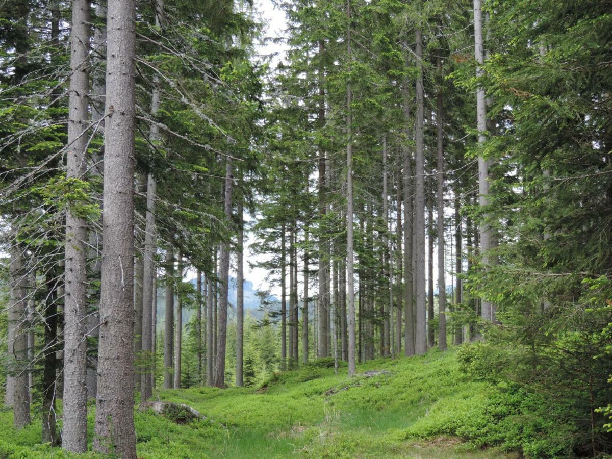 Urlaub Am Bauernhof Grabenhofer Villa Sankt Jakob im Walde Eksteriør bilde