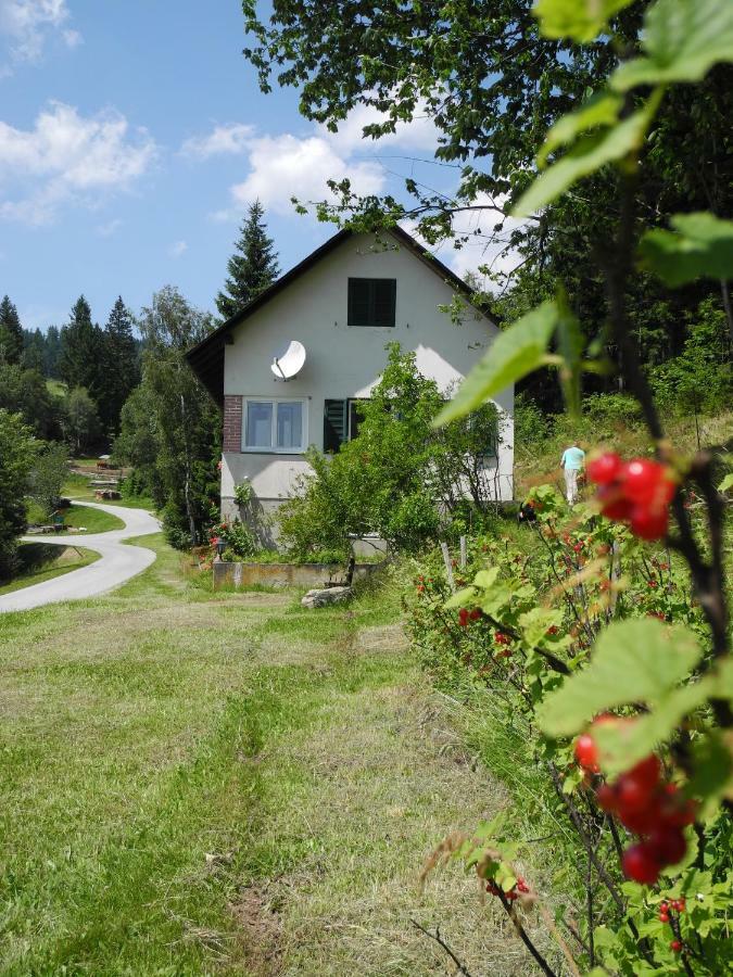Urlaub Am Bauernhof Grabenhofer Villa Sankt Jakob im Walde Eksteriør bilde