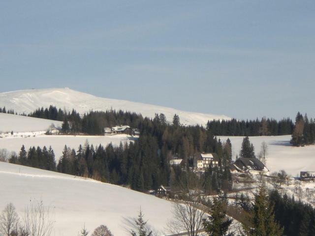 Urlaub Am Bauernhof Grabenhofer Villa Sankt Jakob im Walde Eksteriør bilde